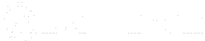 Batl Tech